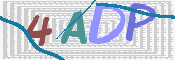 確認のためこの４文字の英数字を下の欄へご入力ください