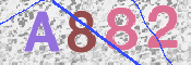 確認のためこの４文字の英数字を下の欄へご入力ください