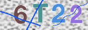 確認のためこの４文字の英数字を下の欄へご入力ください